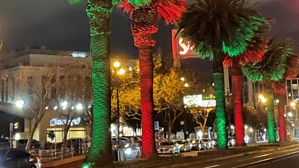 Market Street palm tree lights